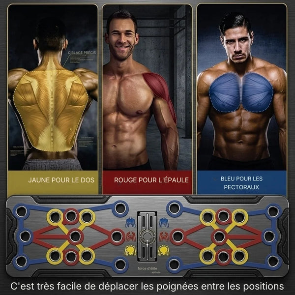 Muscle map with colored markers for back, shoulder, and chest muscles, along with a device for muscle training.